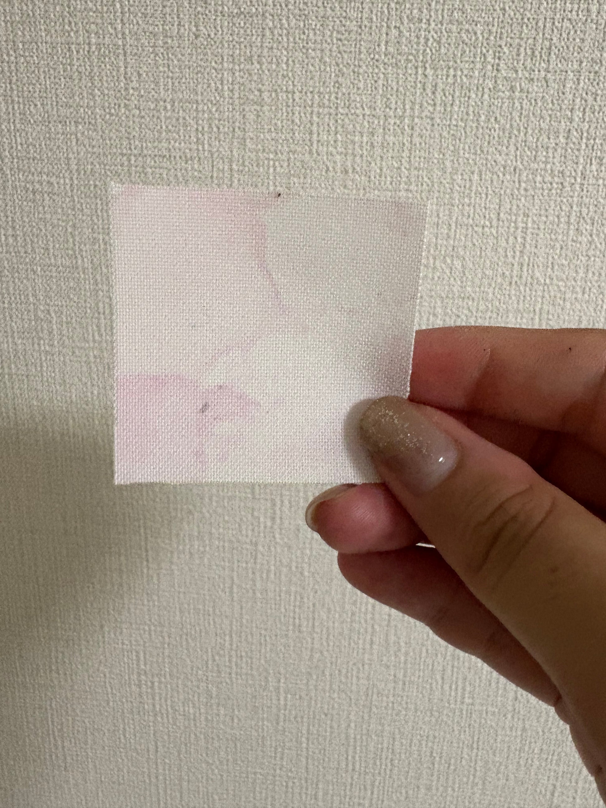 心の庭（複製）