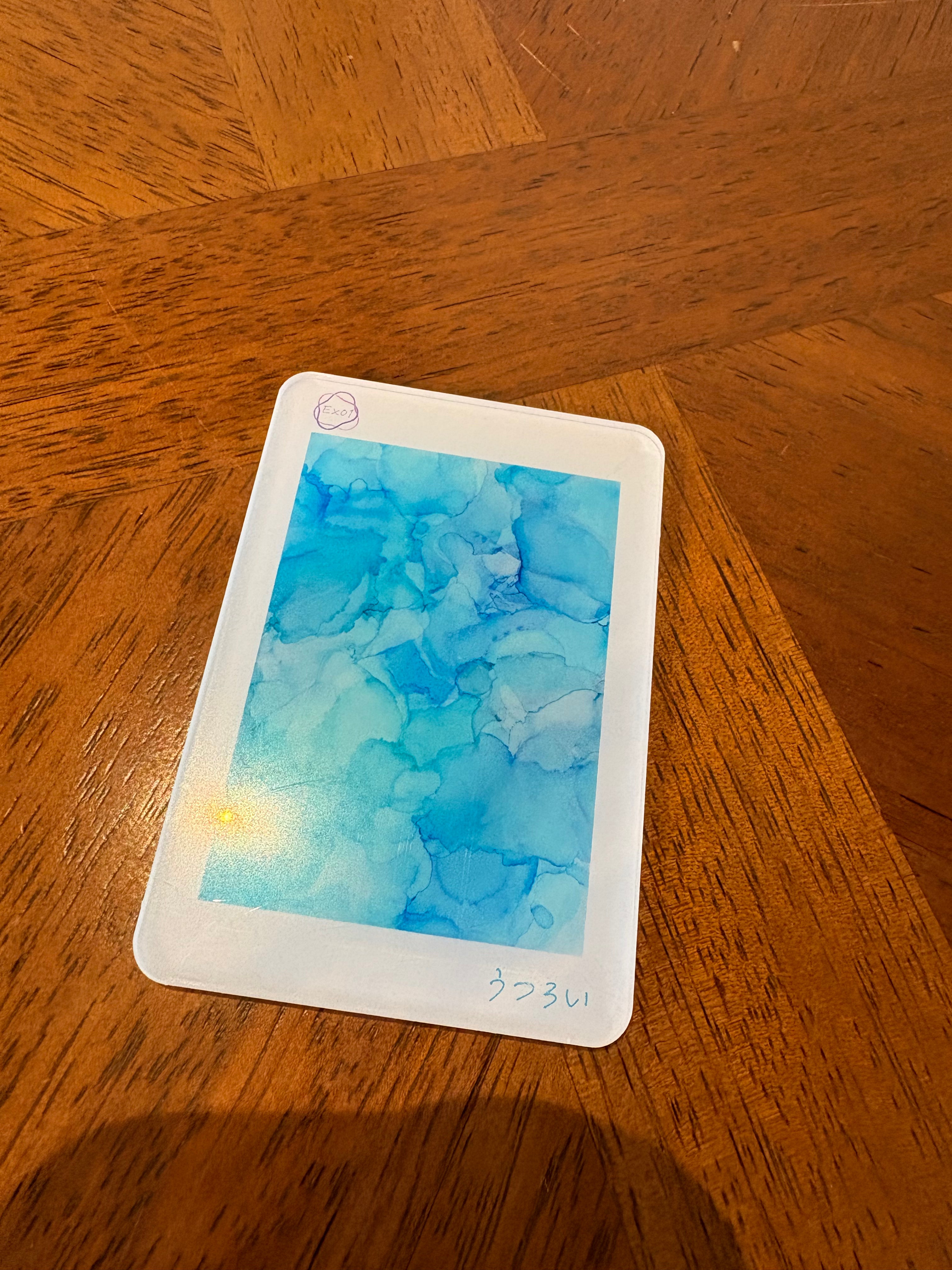 【限定販売】Ex01うつろい